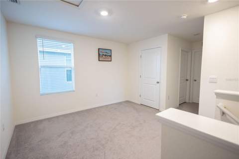 16546 Mosaic Oar Drive, Wimauma FL - photo 16 of 33
