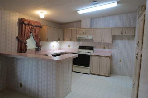 36603 Jodi Avenue, Zephyrhills FL - photo 7 of 58