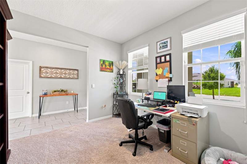 4 bedroom Single Family Residence at 8673 Bower Bass Circle, Epperson Ranch Ph 6-2, Wesley Chapel — photo 3