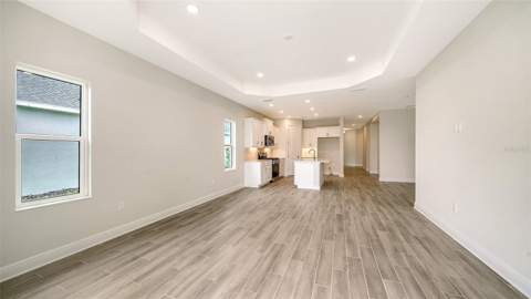 4408 Spoon Blade Drive, Parrish FL - photo 11 of 41