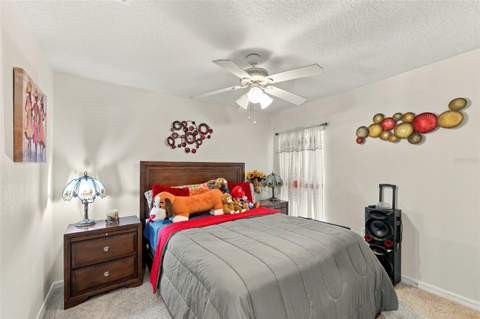 588 Olive Conch Street, Ruskin FL - photo 22 of 31