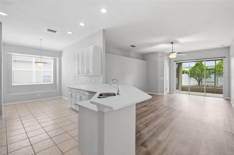 427 Fern Gulley Drive, Seffner FL - photo 11 of 51