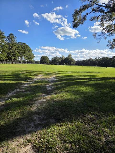 950 W Highway 316, Citra FL - photo 20 of 24