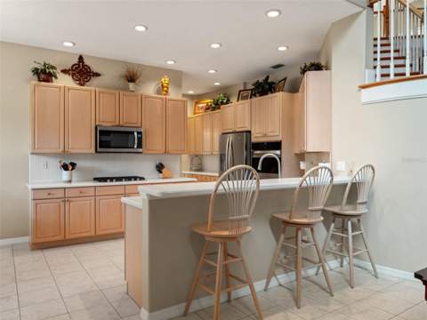 17422 Heather Oaks Place, Tampa FL - photo 22 of 78