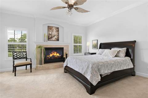 2650 Tanglewood Trail, Palm Harbor FL - photo 23 of 33