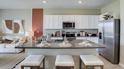11165 Treasure Swale Way, Land O Lakes FL - photo 11 of 19