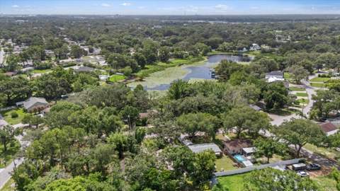12510 Noreast Lake Drive, Tampa FL - photo 6 of 43
