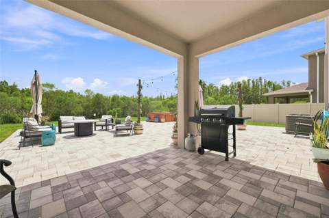 8673 Bower Bass Circle, Wesley Chapel FL - photo 24 of 43