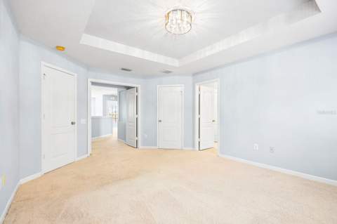 30419 Randall Manor Street, Wesley Chapel FL - photo 14 of 36