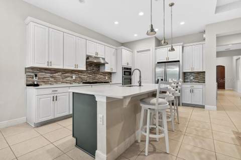 15607 Sylvester Palm Drive, Winter Garden FL - photo 15 of 37