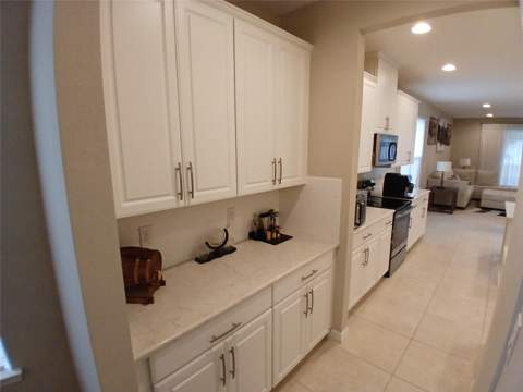 29900 Walsh Oak Drive, Wesley Chapel FL - photo 14 of 87