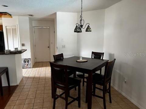 18330 Cypress View Way, Tampa FL - photo 7 of 12