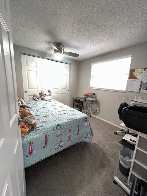 9104 Crabtree Lane, Port Richey FL - photo 13 of 27