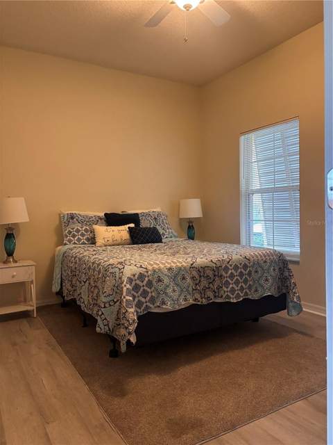 8546 Bay Lilly Loop, Kissimmee FL - photo 19 of 28