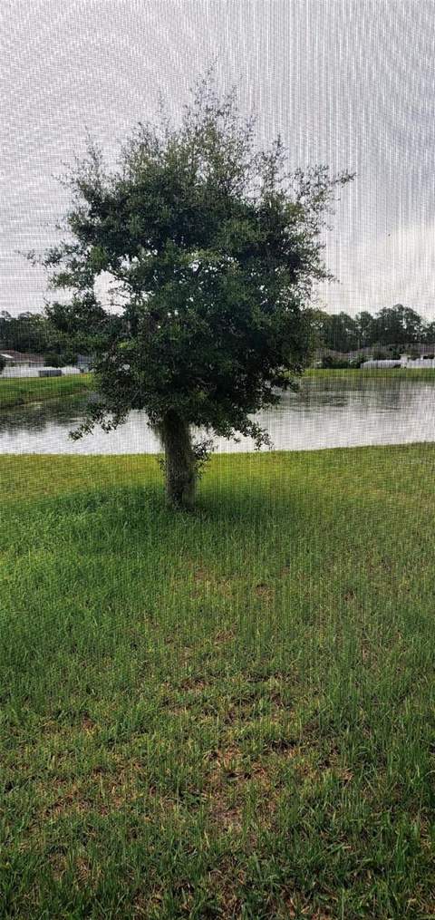 4592 Big Island Drive, Kissimmee FL - photo 18 of 18