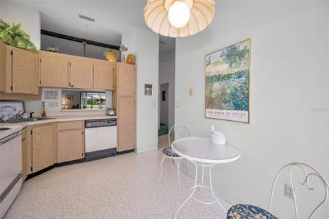 1333 Shady Pine Way #F, Tarpon Springs FL - photo 8 of 43