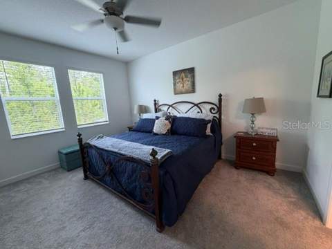9760 Minnow Ray Drive, Land O Lakes FL - photo 13 of 31