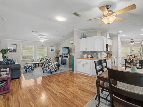 37513 Campo Avenue, Zephyrhills FL - photo 10 of 41