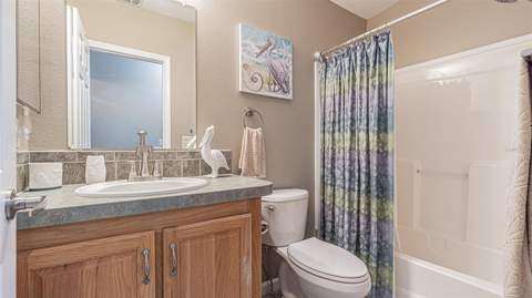 37436 Lilly Bea Avenue, Zephyrhills FL - photo 18 of 60