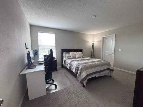 405 Serenity Mill Loop, Ruskin FL - photo 18 of 50