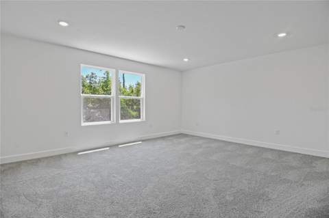 3716 Deer Ridge Drive, Mount Dora FL - photo 14 of 23