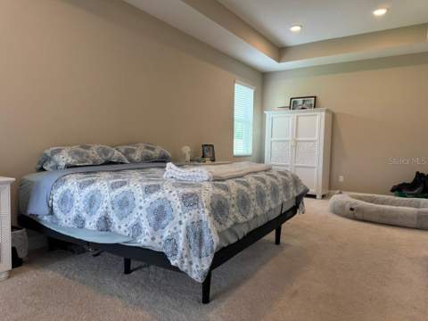 7749 Bronze Oak Drive, Wesley Chapel FL - photo 22 of 38