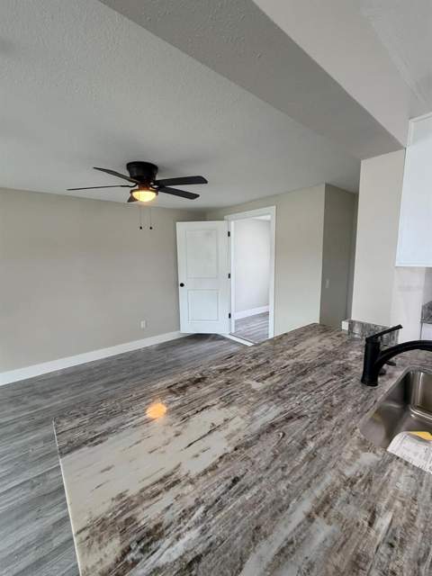 4112 Mesa Drive, New Port Richey FL - photo 11 of 25