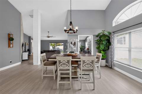 17721 Hampshire Oak Drive, Tampa FL - photo 12 of 35
