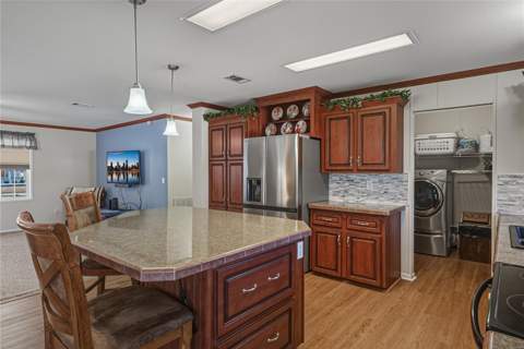 37519 Corey Lewis Avenue, Zephyrhills FL - photo 23 of 49
