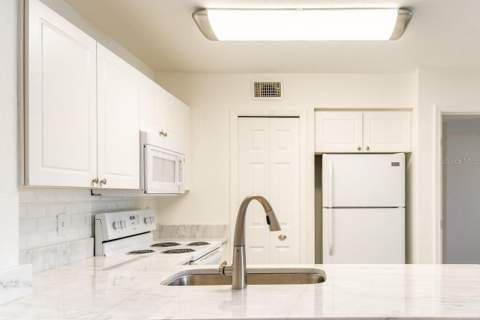 4209 Woodstorks Walk Way #1110, Lutz FL - photo 6 of 6