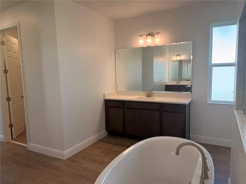 5060 Northern Dove Avenue, Mount Dora FL - photo 11 of 22