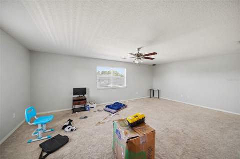 4809 Walnut Ridge Road, Land O Lakes FL - photo 21 of 34