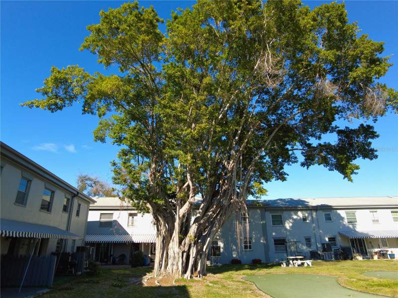 1 bedroom Condominium at 6930A Place De La Paix #2B, Les Chateaux, South Pasadena — photo 3