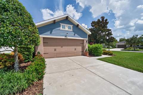 6511 Salt Creek Avenue, Apollo Beach FL - photo 6 of 94