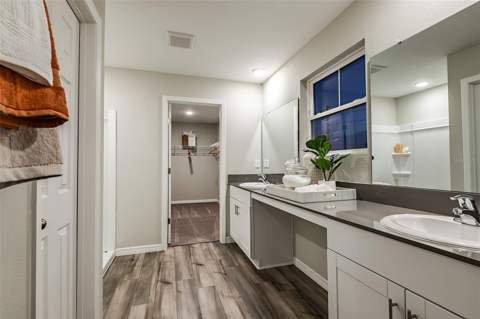 31685 Oyster Trellis Lane, Wesley Chapel FL - photo 7 of 27
