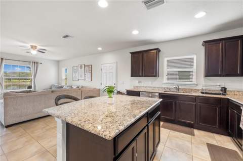 9335 American Hickory Lane, Riverview FL - photo 11 of 44