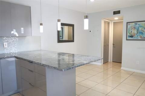 15202 E Pond Woods Drive #9, Tampa FL - photo 6 of 6