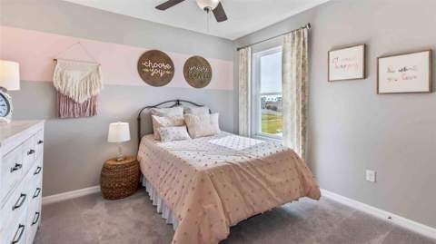 9879 Brave Buck Avenue, Land O Lakes FL - photo 14 of 17