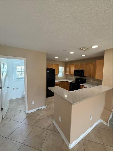 4817 Tuscan Loon Drive, Tampa FL - photo 8 of 23