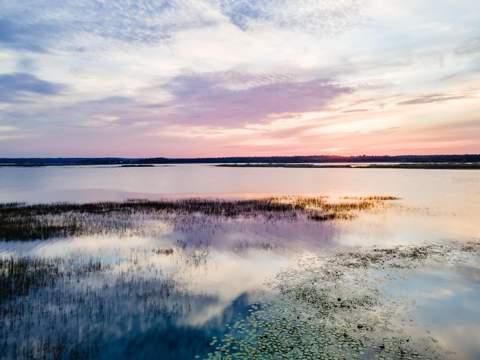 25212 E Highway 316, Salt Springs FL - photo 6 of 6