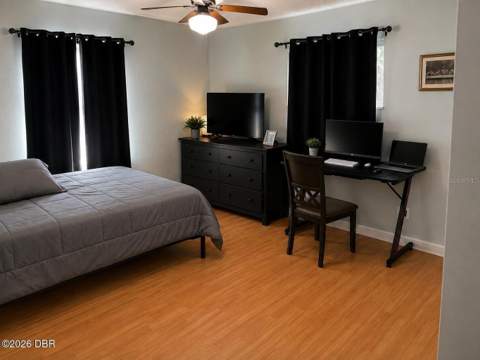 31109 Deal Drive, Mount Plymouth FL - photo 12 of 25