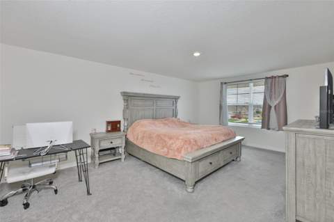 5244 Fiddle Fig Avenue, Wimauma FL - photo 18 of 51