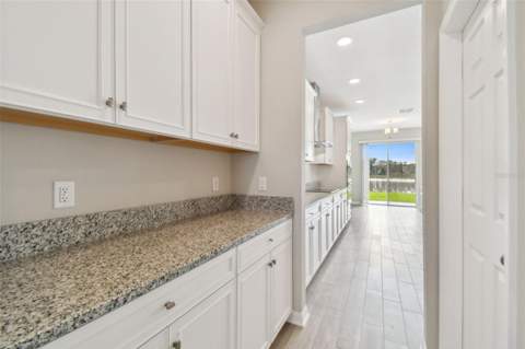38190 Shale Stone Court, Zephyrhills FL - photo 13 of 76