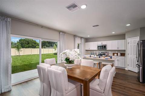 31731 Oyster Trellis Lane, Wesley Chapel FL - photo 11 of 24