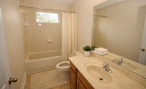 2461 Woodbark Street, Apopka FL - photo 18 of 26