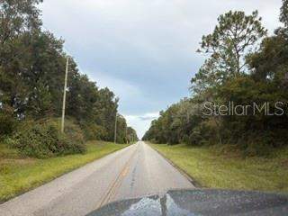 19279 SW 96th Loop, Dunnellon FL - photo 11 of 13