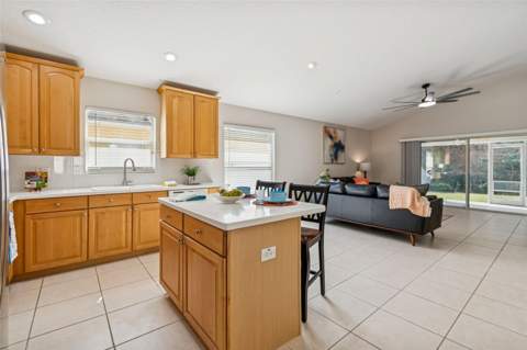 353 Bay Arbor Boulevard, Oldsmar FL - photo 11 of 29