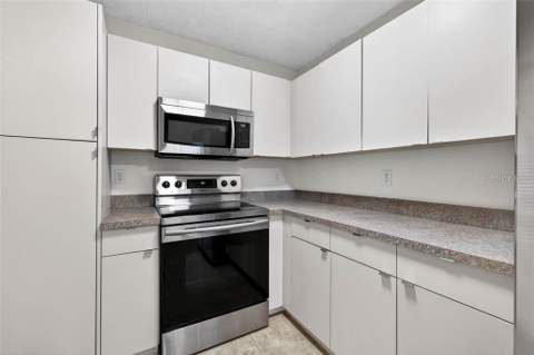 4843 Napoli Court, St Petersburg FL - photo 10 of 27