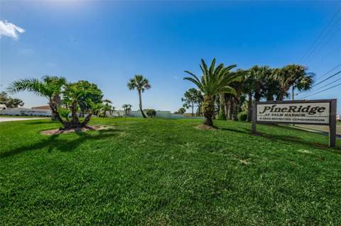 2575 Pine Ridge Way #E1, Palm Harbor FL - photo 15 of 27