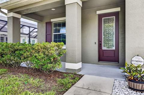 7109 Bay Laurel Court, Wesley Chapel FL - photo 9 of 90